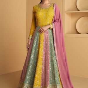 Multicolor Embroidered Anarkali