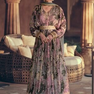 Royal Elegance Anarkali